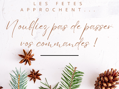 LES FETES APPROCHENT...N'OUBLIEZ PAS DE PASSER VOS COMMANDES