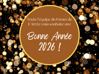 MEILLEURS VOEUX POUR CETTE NOUVELLE ANNÉE !